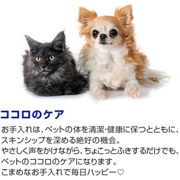 2in1 トリートメントできるシャンプータオル 第一衛材
