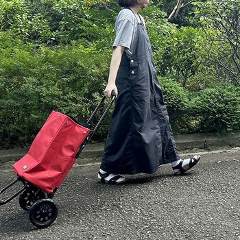ショッピングカート TOTE(トート) 保温 保冷 22L レップ