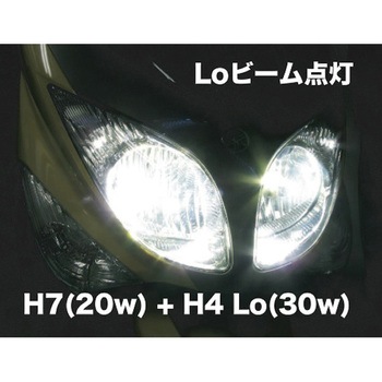 LEDバルブ Lo2灯式 プロテック