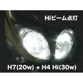 LEDバルブ Lo2灯式 プロテック