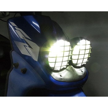 LB7-BW LEDヘッドライトバルブキット プロテック