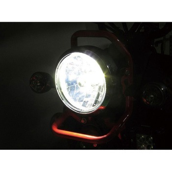 LB4-CC LEDヘッドライトバルブ プロテック