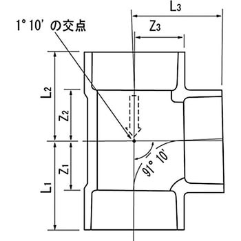 DV90°チーズ クボタケミックス(クボタシーアイ)