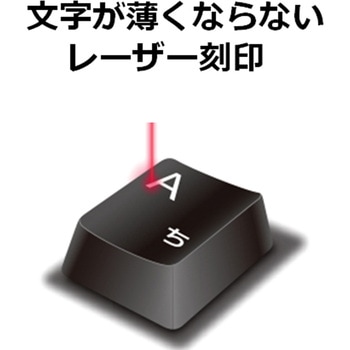 キーボード 有線 メンブレン テンキー付き USB 高耐久 Wii PS5 エレコム
