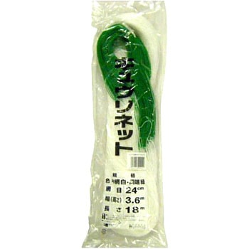 キューリネットHDなし 日本マタイ