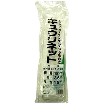 キューリネットHDなし 日本マタイ