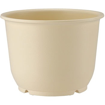 5�� ���� �֌^ �A�b�v���E�F�A�[ 01286818