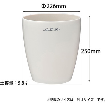 ラスターポット アップルウェアー