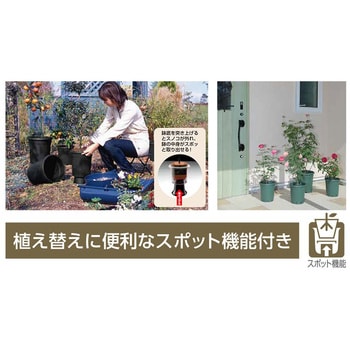 果樹鉢 アップルウェアー