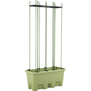 �ی^240 �y�X�؉� �x���p�t���[���t �A�b�v���E�F�A�[ 01289627