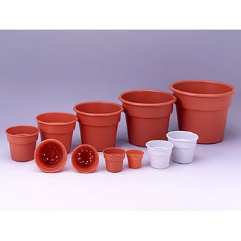 16�� AP�|�b�g �A�b�v���E�F�A�[ 01290117