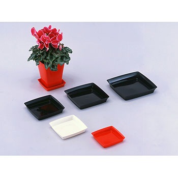 245型 グラシアプレート アップルウェアー 01290537