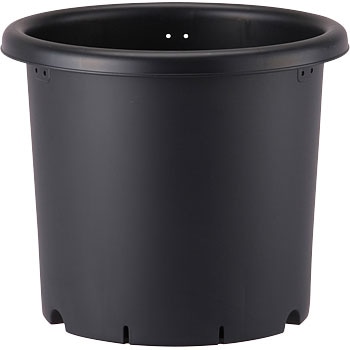 10 e AbvEFA[ 01291483