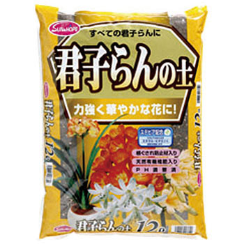 - Nq̓y(XerAz) SUN & HOPE(TAhz[v) 01292488