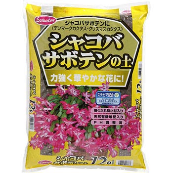 - VRoT{e̓yXerAz SUN & HOPE(TAhz[v) 01292524