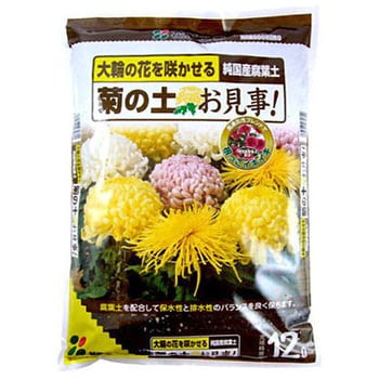 菊の土お見事! 花ごころ