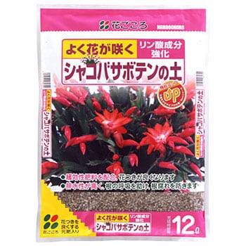 花ごころ 観音竹の土12L×3袋 しつこ