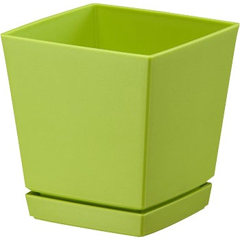 5�� �N�G���`���[�|�b�g ��a�v���X�`�b�N 01295078