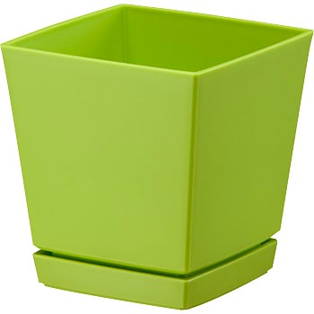 6�� �N�G���`���[�|�b�g ��a�v���X�`�b�N 01295114