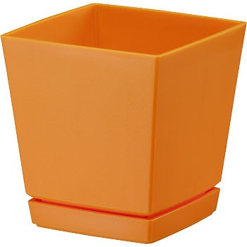 6�� �N�G���`���[�|�b�g ��a�v���X�`�b�N 01295123