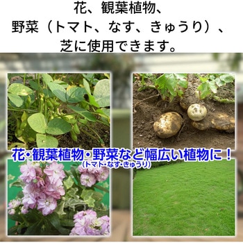 GFオルトラン粒剤 住友化学園芸