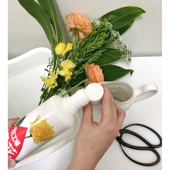 花工場切花ロングライフ液 - 住友化学園芸