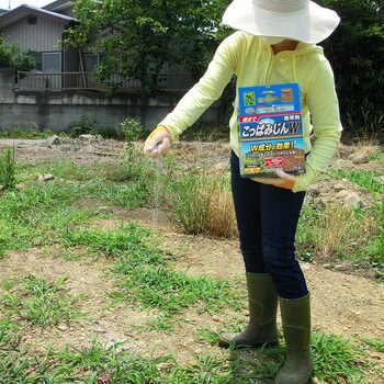 こっぱみじんW レインボー薬品