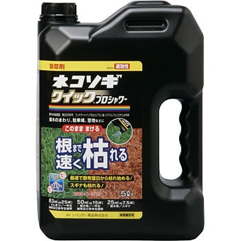 ネコソギクイックプロシャワー 1本(5L) レインボー薬品 【通販サイト