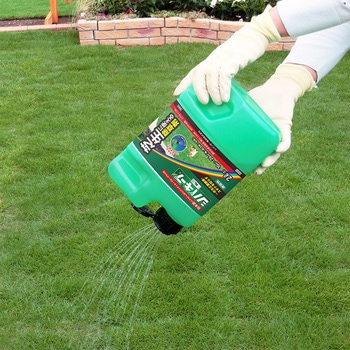 シバキープAL レインボー薬品