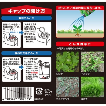 シバキープAL レインボー薬品