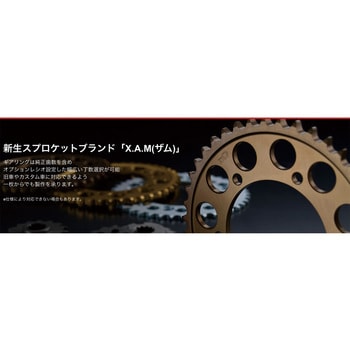 XAMCLASSICREAR スプロケット(A3210) X.A.M