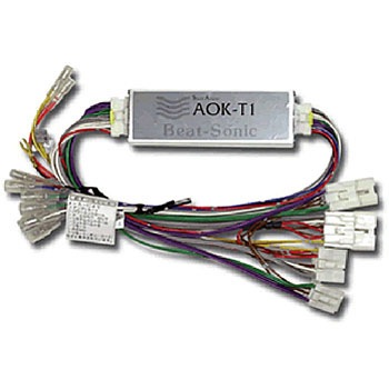 AOK-T1 TEhA_v^[ Beat-Sonic 01638927