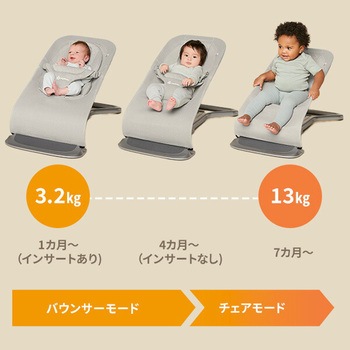 エルゴベビー Ergobaby evolve バウンサー メッシュ ダッドウェイ