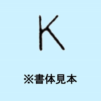 1.5mm ハイス精密組合せ刻印 バラ刻印 浦谷商事