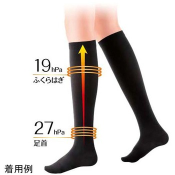 スリムウォーク 美脚ハイソックス ナチュラルfeel PHシリーズ ピップ