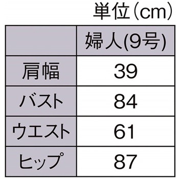 PP製 婦人トルソー 9号 61-810-40シリーズ アズワン