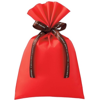 無地 梨地ギフトバッグ レッド 20枚 61-811-44シリーズ - アズワン