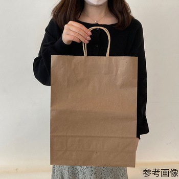 手提紙袋 丸ヒモ 再生紙タイプ 61-812-49シリーズ アズワン