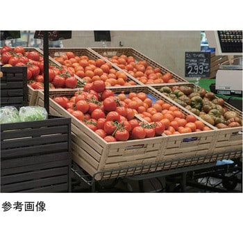 木目調 折りたたみコンテナー アズワン