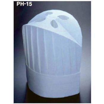 PH-15NT PHV[Y AY 02609306