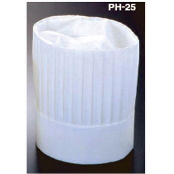 PH-25NT PHV[Y AY 02609331