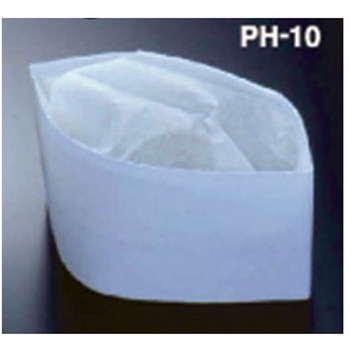 PH-10NT PHV[Y AY 02609349