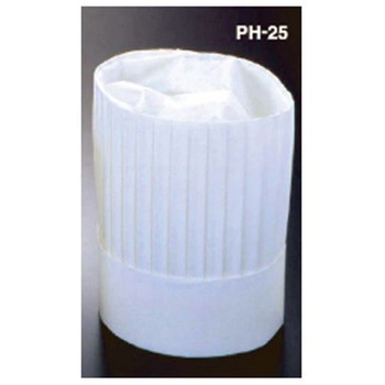 PH-201NT PHV[Y AY 02609367