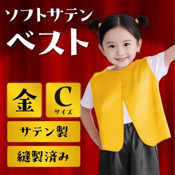 ソフトサテン ベスト - アーテック[学校教材・教育玩具]