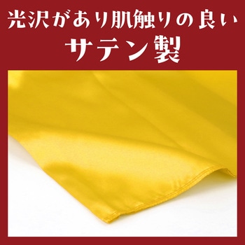 ソフトサテン ベスト - アーテック[学校教材・教育玩具]