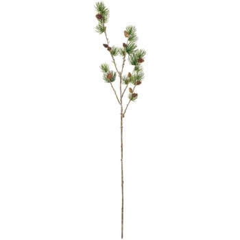 正陽苔付松 MAGIQ(東京堂)