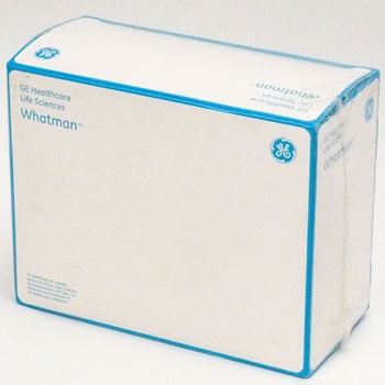 13ΦGD/Xシリンジフィルター PTFE Whatman(ワットマン)