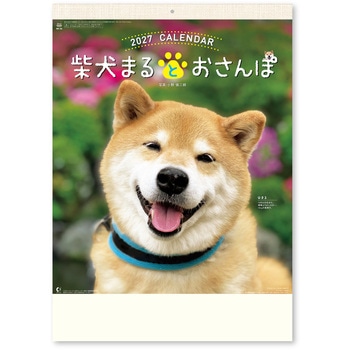 柴犬まるとおさん 新日本カレンダー