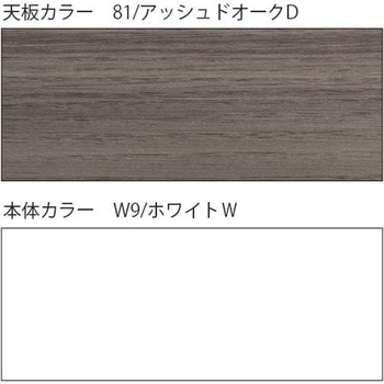 CZR-187SEC-981 CZR�f�X�N �Б��� �����O���[���^�C�v �Z���^�[���o���Ȃ� W1800�~D700<�z�����g���T�[�r�X�t> �C�g�[�L 03316288