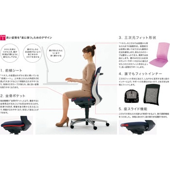 BeneS クッションタイプ 布張り バイカラーフレーム ローバック プラス(家具)